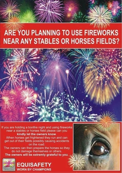 Fireworks at home - who should ‘win’?