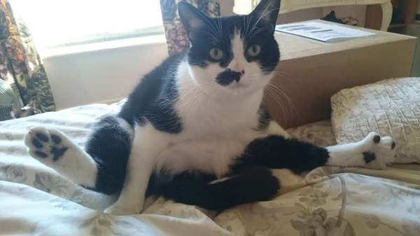 The Further Adventures Of Newboy