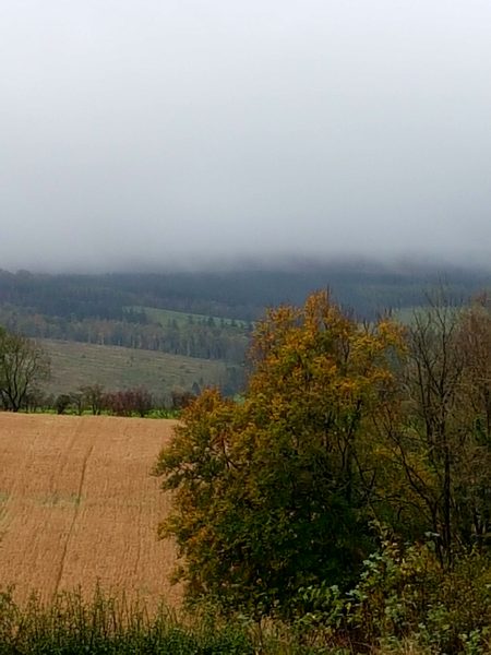 The Brave Babes Battle Bus - Braving The Wine Witch & Her Alcohol Free Autumn