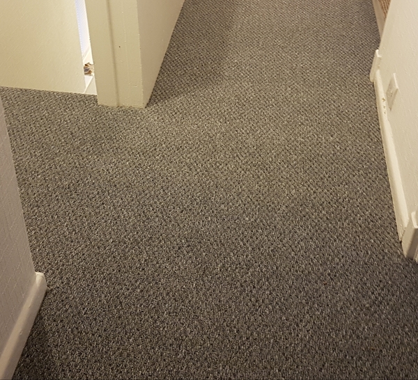 To be devastated with my new carpet