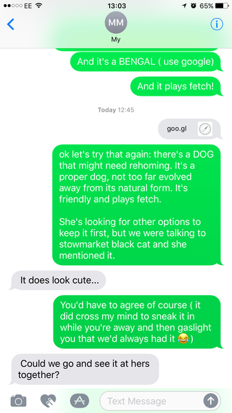 (light hearted -ish) about DH and my cat collection