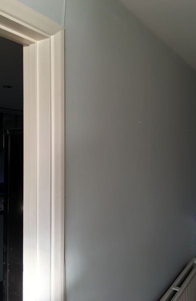 Paint needs to be ordered today and I can’t decide!