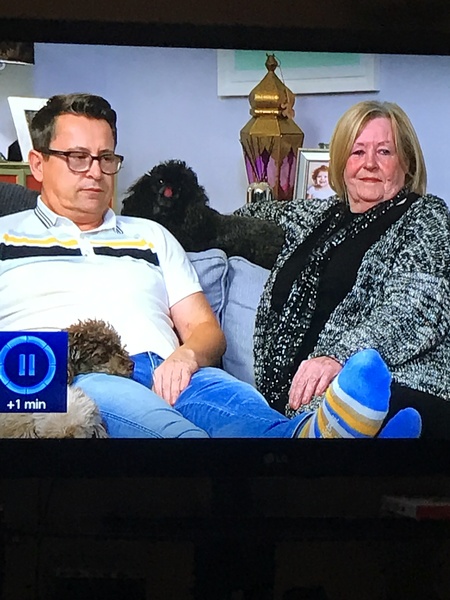 gogglebox destressed looking dog