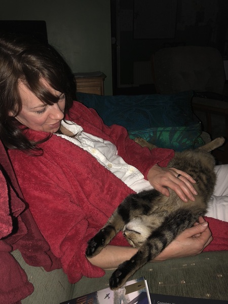 Nothing Nicer than a Contented Cat on your Lap!