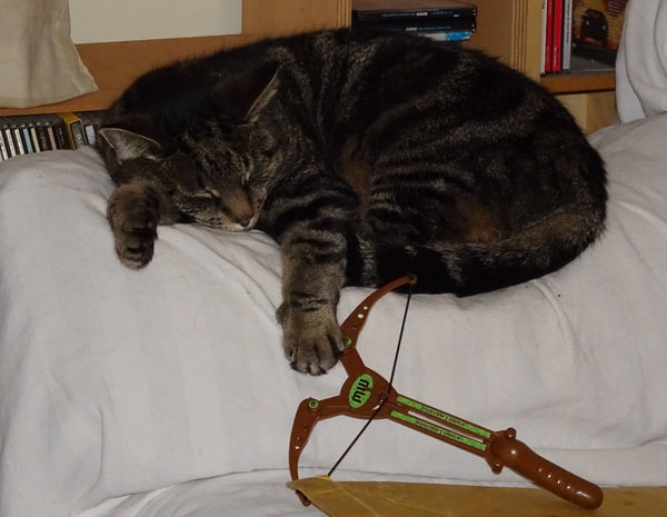 Swagger Inn 151: The One Where Wenches Are Blindfolded And Don’t Use Their Hands ..... Practising Bobbing For Apples Of Course <ahem>