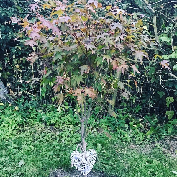 Just looking for a bit of support and shared experiences >.<