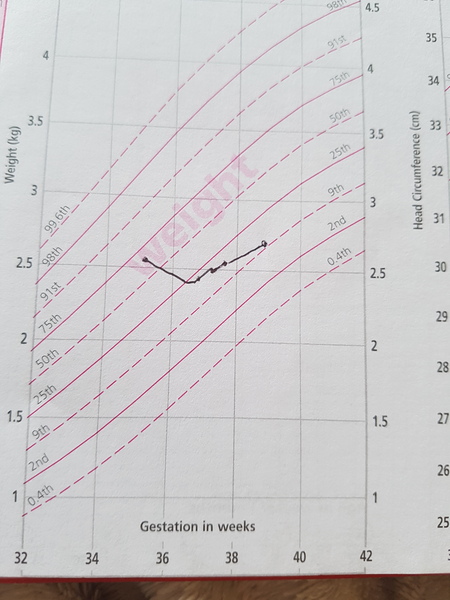 Slow weight gain - any advice appreciated