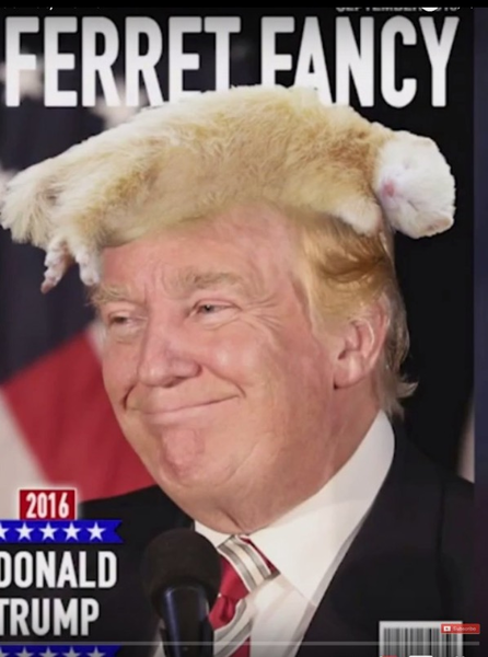 The zephyrs of change. Trump continued