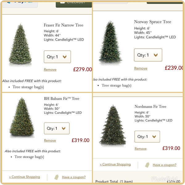 To buy a £300 Christmas tree?