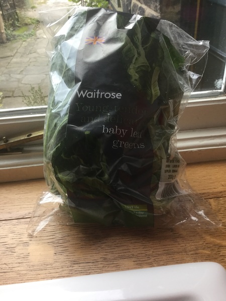 vegan guests arriving in four hours - please help!