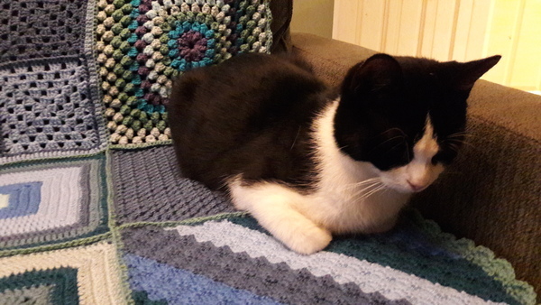 Zombie and Woolly Hugs. ALL very welcome to join us, come and find out about her legacy of Candy’s Hugs.