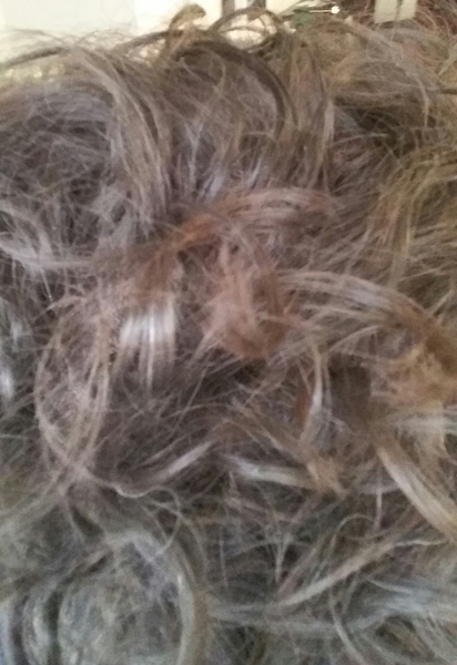 Head shave to go grey