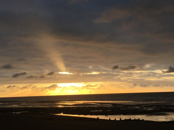 The Brave Babes Battle Bus - Braving The Wine Witch & Her Alcohol Free Autumn