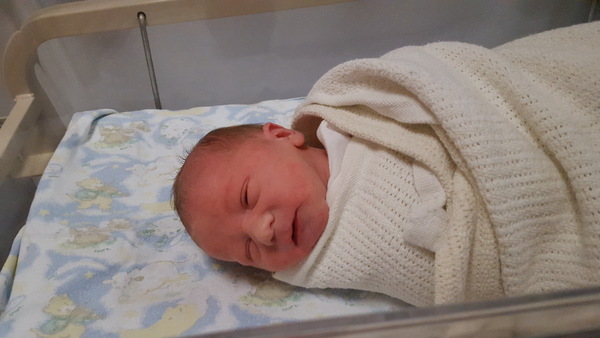 First Time Pregnancy (5)