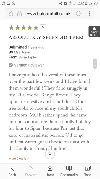 To buy a £300 Christmas tree?