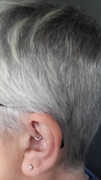 Head shave to go grey