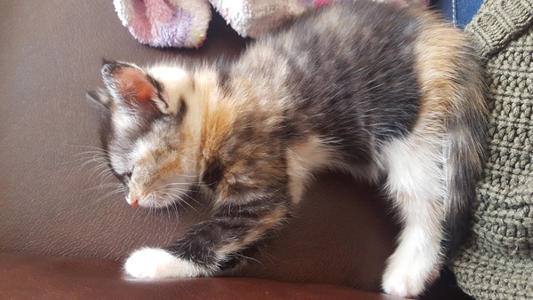 Witness the cuteness