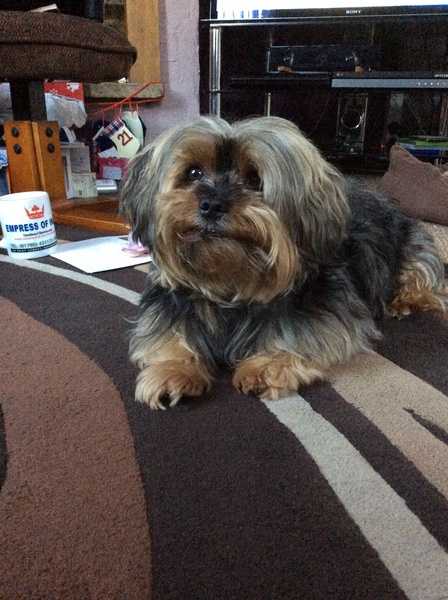 Heartbroken, we lost our little boy