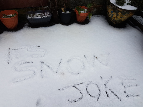 The Brave Babes Battle Bus - Braving The Wine Witch & Her Alcohol Free Autumn