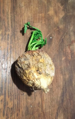 Week 7 - Low Carb Bootcamp - Still with us?!