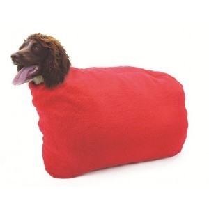 To buy my dog shoes? Lighthearted