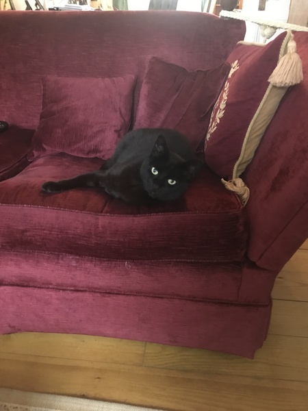Need some love for my beautiful girl.