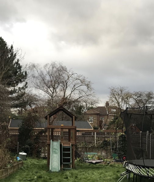 Neighbour's log cabin obstructing our view