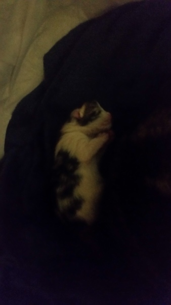 Unexpected birth
