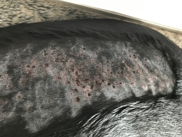 What on earth is this skin problem?