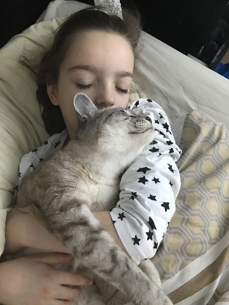 Does having a cat make you lazy?