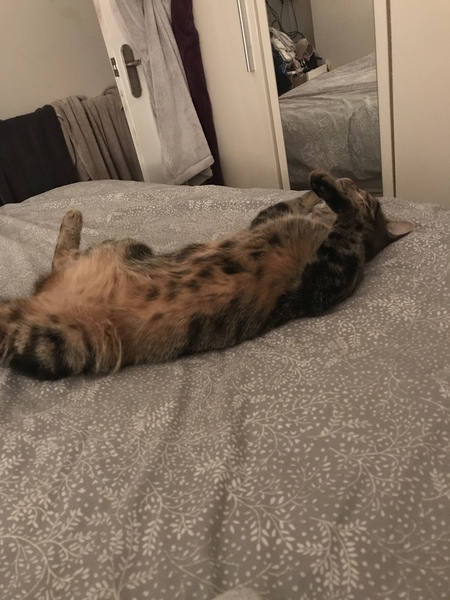 Who are you sharing your bed with?