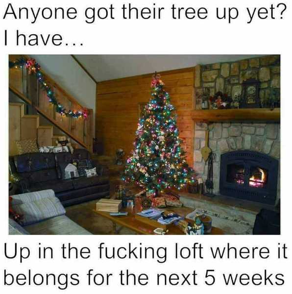 Christmas trees up in November???