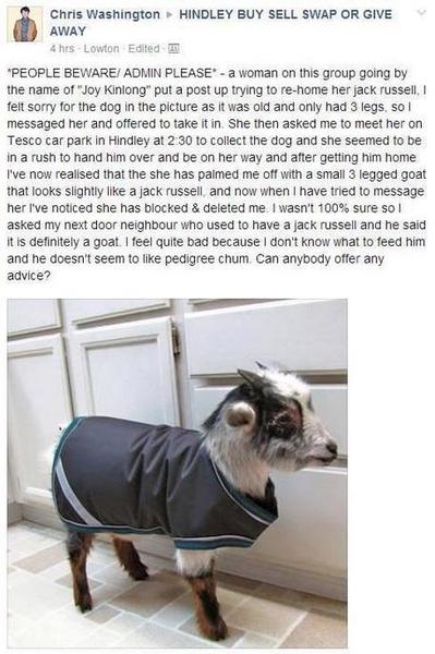 AIBU (and cruel) to laugh at this?