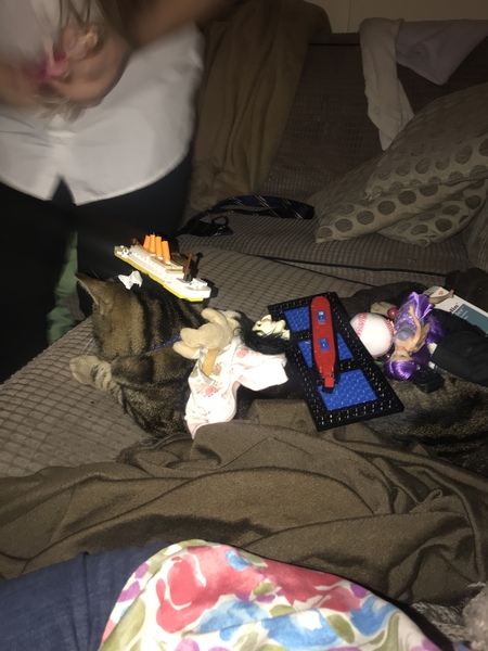 How many things can I put on my cat thread 2.