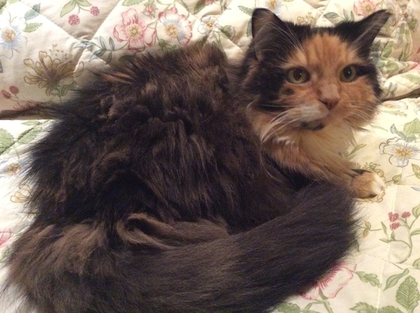 can anyone give this sweet little girl a new home?