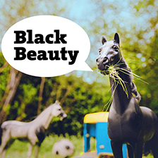 Win a family ticket to Black Beauty at Lakeside Arts