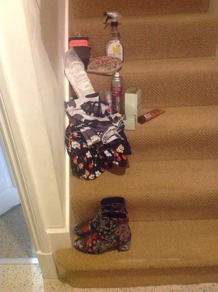 I'm joking but - how can you go upstairs and not notice this pile of shit that needs to be taken upstairs too? (Pic)
