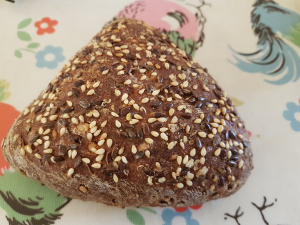 Week 4 - just got to KOKO