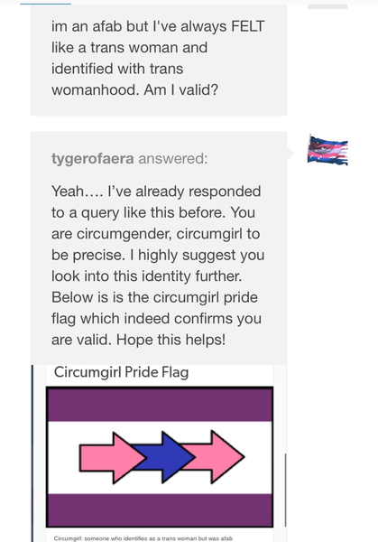 Two more women attacked by trans activists