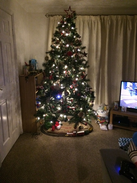 To buy a £300 Christmas tree?