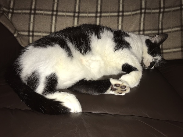 I think I’ve lost my seat!