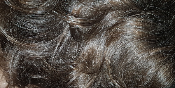 Head shave to go grey