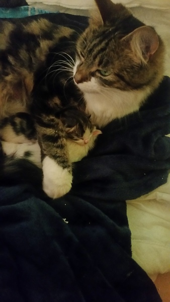 Unexpected birth