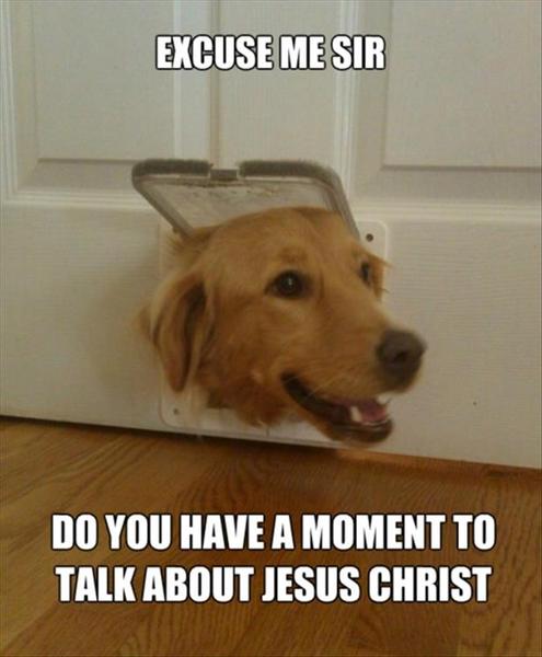 To be amused at a discussion I can overhear?