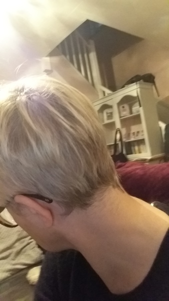 Head shave to go grey