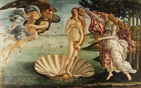 What on Earth is that shell ??