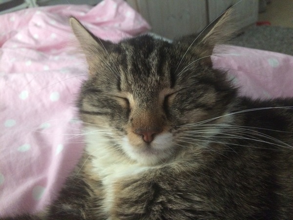 can anyone give this sweet little girl a new home?