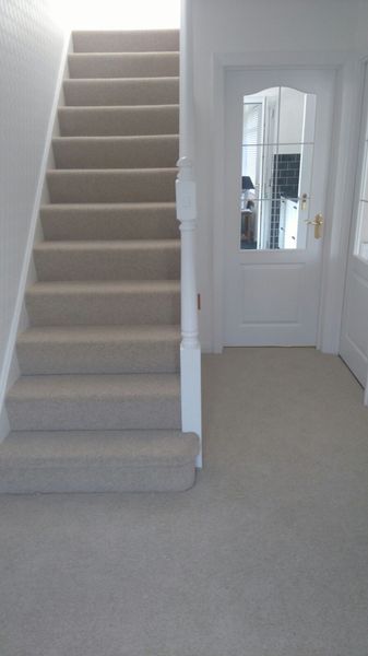 What colour carpet and how much to spend?