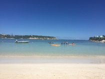 Week 5 - halfway there!