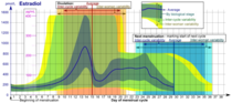 Blood test results - can anyone help me understand them?
